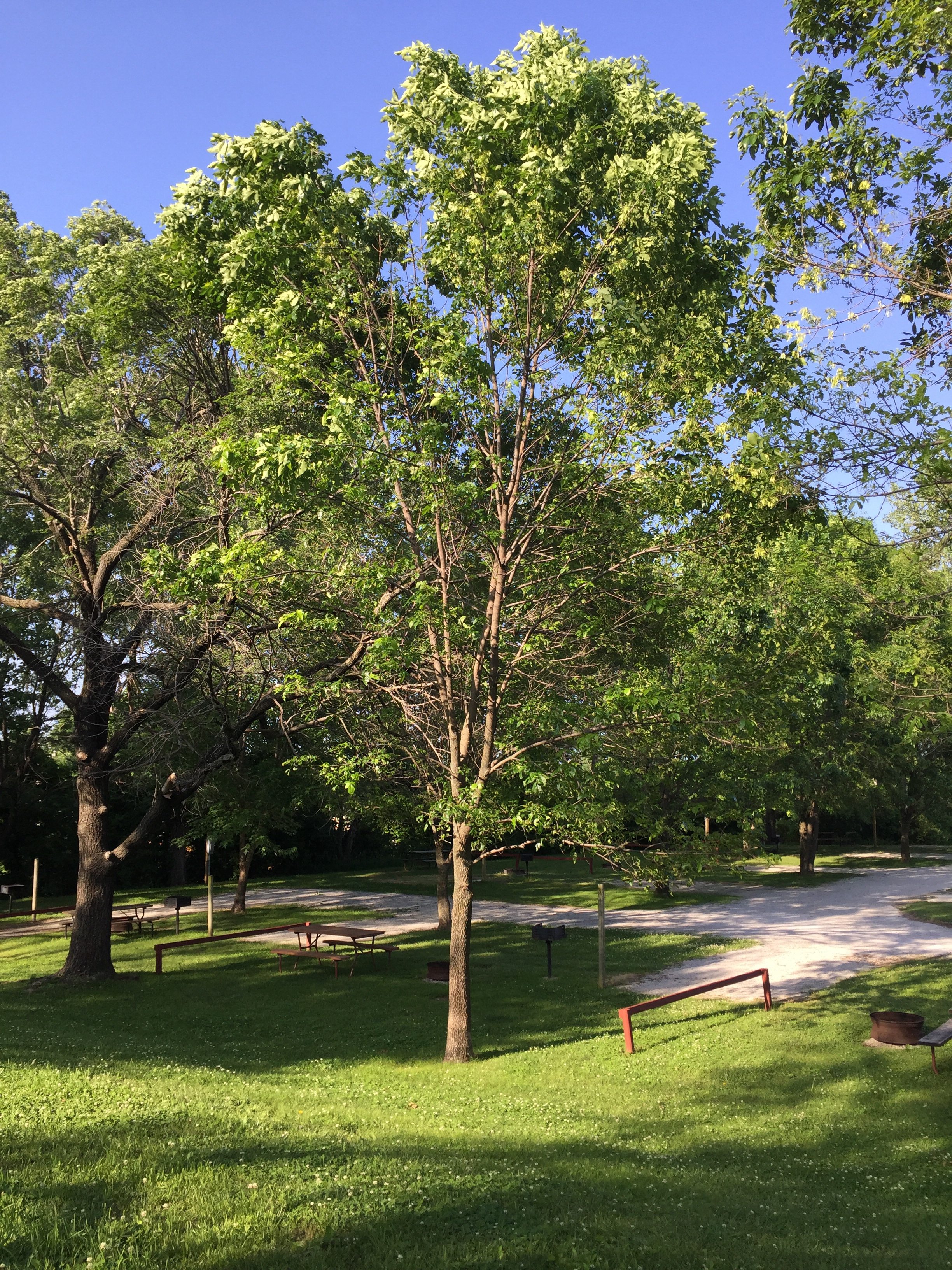 JPEG image-BE2F5E06943C-10